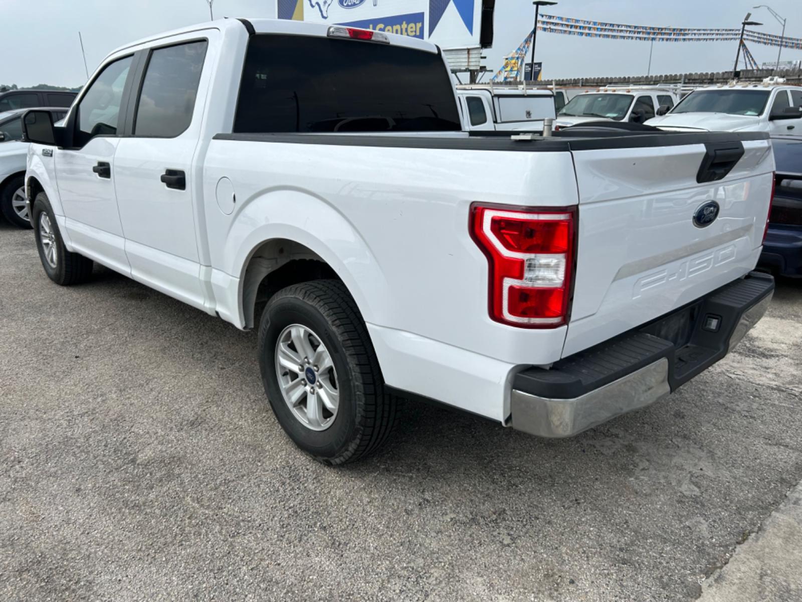 2019 White Ford F-150 (1FTEW1C55KK) with an 5.0L V8 F DOHC 32V engine, Automatic transmission, located at 1687 Business 35 S, New Braunfels, TX, 78130, (830) 625-7159, 29.655487, -98.051491 - Photo #7